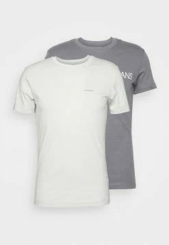 Calvin Klein Jeans TEE INSTITUTIONAL LOGO 2 PACK - T-shirt Imprimé - Fossil Grey/stratus Grey