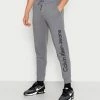 Calvin Klein Jeans VERTICAL BOLD INSTIT PANT - Pantalon De Survêtement - Fossil Grey