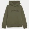 Calvin Klein Jeans INSTITUTIONAL LOGO - Sweat à Capuche - Green
