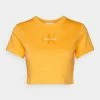 Calvin Klein Jeans PRIDE LOGO CROP TEE - T-shirt Imprimé - Orange Juice