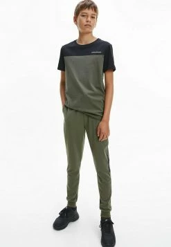 Calvin Klein Jeans SLIM ORGANIC BLOCK - T-shirt Basique - Grape Leaf