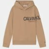 Calvin Klein Jeans HERO LOGO HOODIE UNISEX - Sweatshirt - Tawny Sand