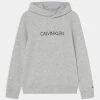 Calvin Klein Jeans INSTITUTIONAL LOGO - Sweat à Capuche - White Heather
