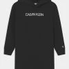 Calvin Klein Jeans INSTITUTION LOGO HOODIE DRESS - Robe De Jour - Black