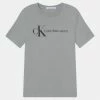 Calvin Klein Jeans MONOGRAM INSITUTIONAL - T-shirt Imprimé - Grey Dew