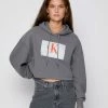 Calvin Klein Jeans CROPPED HOODIE - Sweat à Capuche - Shining Armor