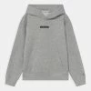 Calvin Klein Jeans MICRO FLOCK LOGO RELAXED HOODIE - Sweatshirt - Light Grey Heather