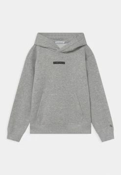 Calvin Klein Jeans MICRO FLOCK LOGO RELAXED HOODIE - Sweatshirt - Light Grey Heather