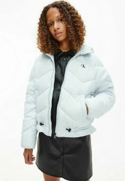 Calvin Klein Jeans QUILTED PUFFER - Veste D'hiver - Arctic Ice