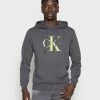 Calvin Klein Jeans MONOGRAM REGULAR HOODIE - Sweat à Capuche - Gray Pinstripe/acid Lime