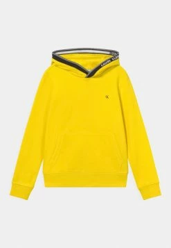 Calvin Klein Jeans INTARSIA HOODIE - Sweatshirt - Bright Sunshine