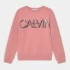 Calvin Klein Jeans LOGO - Sweatshirt - Soft Berry