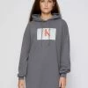 Calvin Klein Jeans OVERSIZED HOODIE DRESS - Robe De Jour - Shining Armor