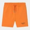 Calvin Klein Jeans STACKED LOGO RELAXED - Short - Orange Summit