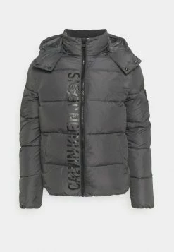 Calvin Klein Jeans ESSENTIALS - Veste D'hiver - Gray