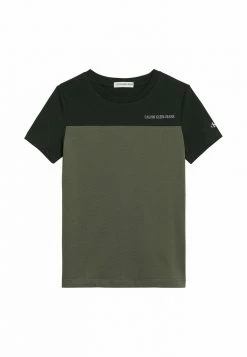 Calvin Klein Jeans SLIM ORGANIC BLOCK - T-shirt Basique - Grape Leaf 7 Calvin Klein Jeans SLIM ORGANIC BLOCK - T-shirt Basique - Grape Leaf -Calvin Klein Elegant Magasin f091e1ec1d6247f3a9b38c7732a4fc1c