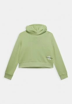 Calvin Klein Jeans MONOGRAM OFF PLACED HOODIE - Sweatshirt - Flourishing Green