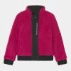 Calvin Klein Jeans REVERSIBLE - Veste D'hiver - Stunning Magenta